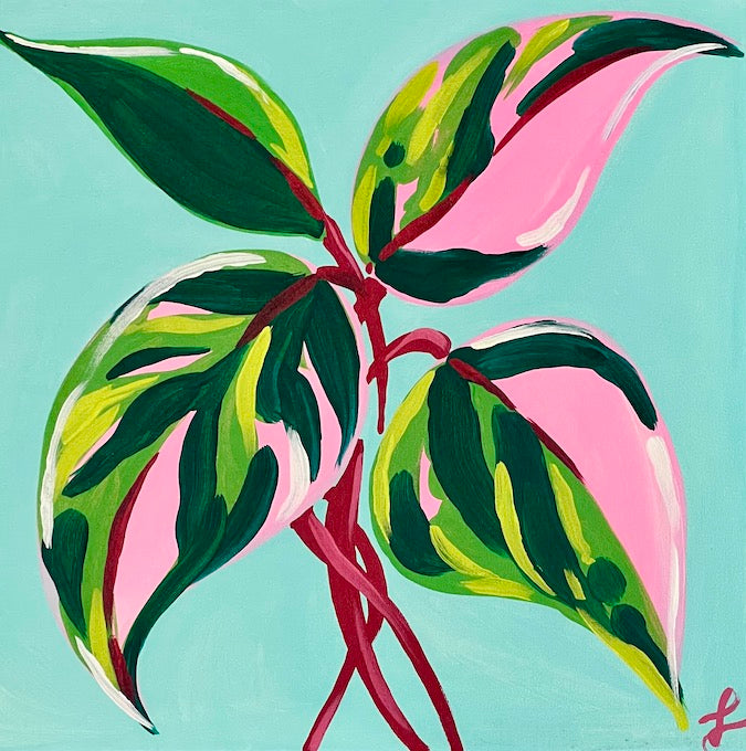 Art Box - Pink Philodendron