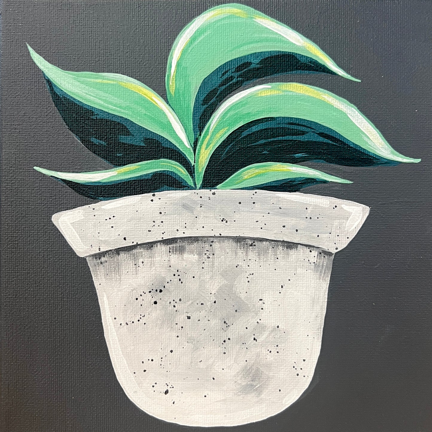 Mini Kit - Homey Houseplant