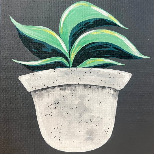 Mini Kit - Homey Houseplant