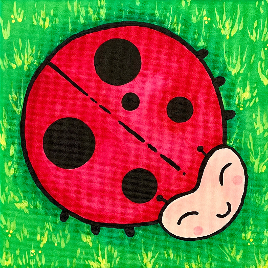 Mini Kit - Little Ladybug