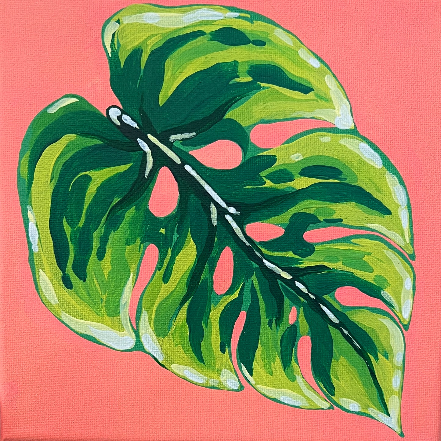 Mini Kit - Monstera Leaf